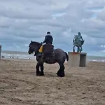 View * Oostduinkerke