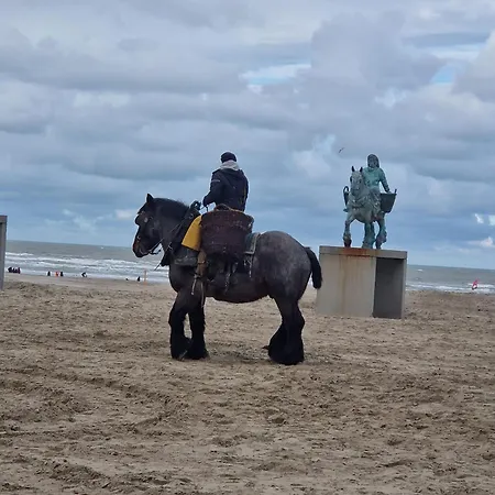 View * Oostduinkerke