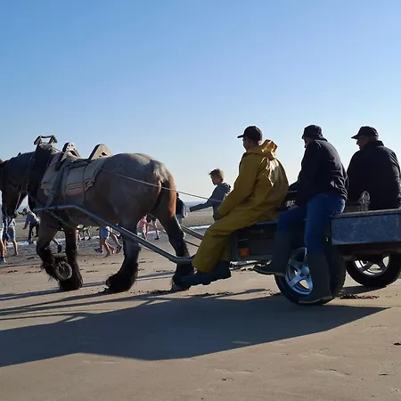 View * Oostduinkerke